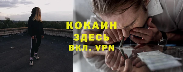 стафф Няндома
