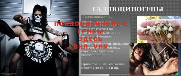 стафф Няндома