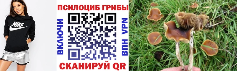 Галлюциногенные грибы Psilocybine cubensis  мега   Динская 